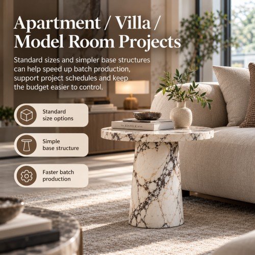Apartment / Villa / Model Room Projects